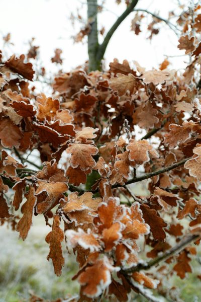 The Shift to Winter