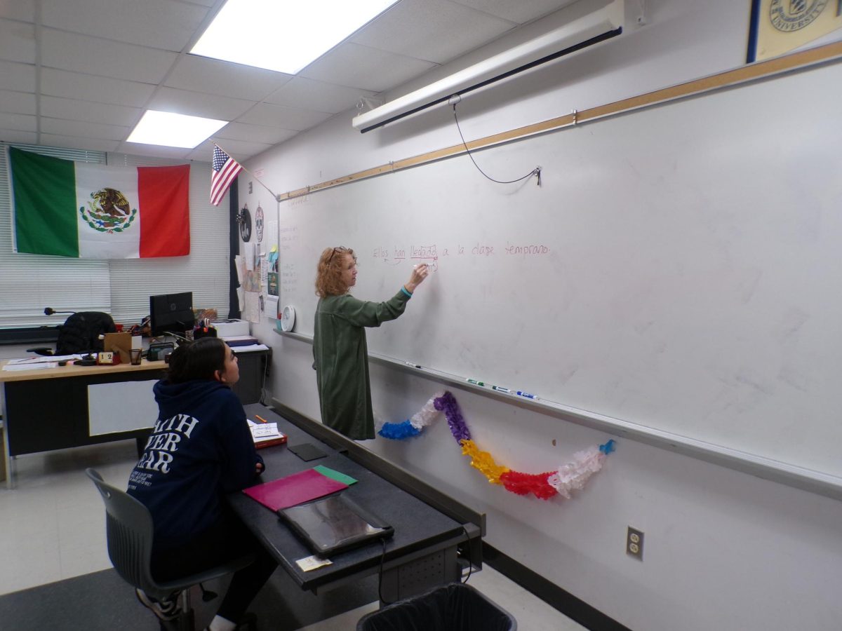 Foreign Language Debate