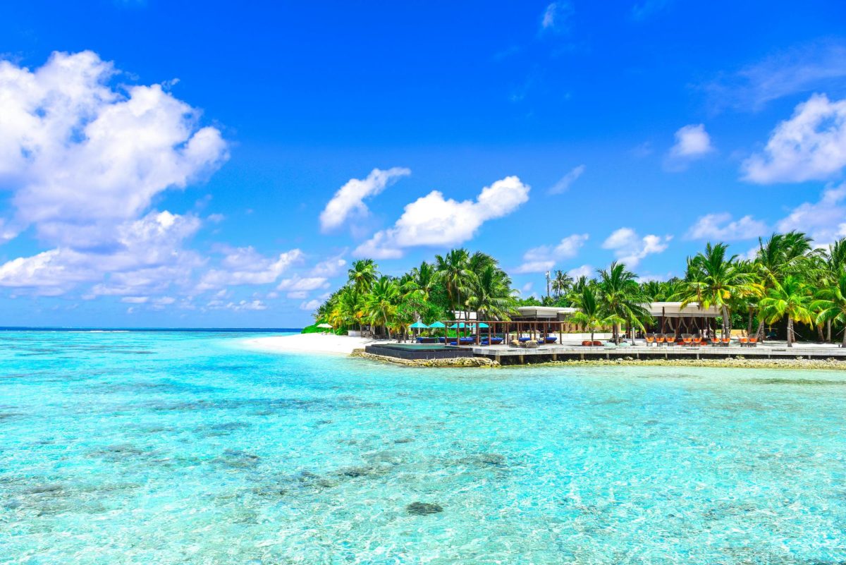Students' Dream Vacations
