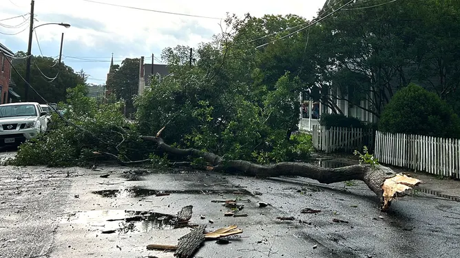 Strong winds caused destruction. 