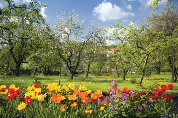 Springs beautiful nature