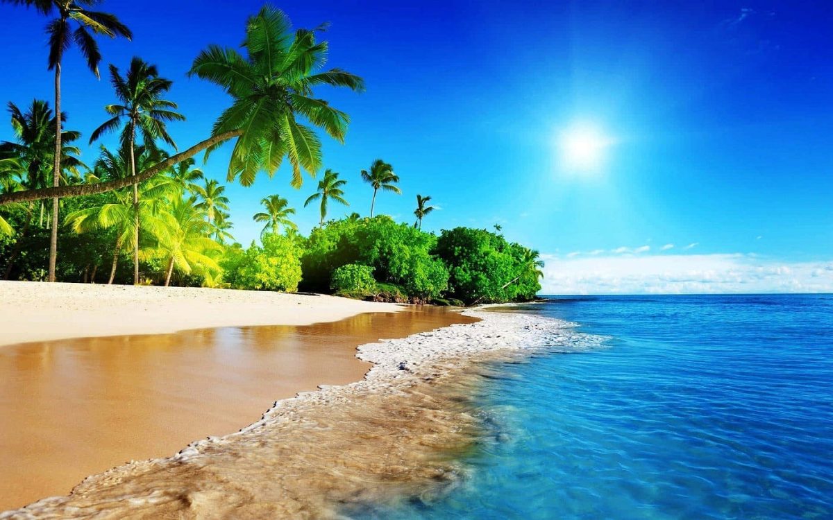 Summer Plans