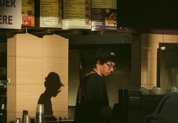 Working Student